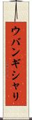 ウバンギシャリ Scroll