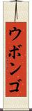 ウボンゴ Scroll