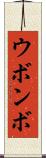 ウボンボ Scroll