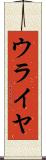 ウライヤ Scroll