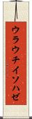 ウラウチイソハゼ Scroll