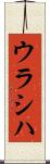 ウラシハ Scroll