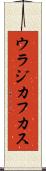 ウラジカフカス Scroll