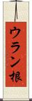 ウラン根 Scroll