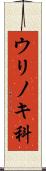 ウリノキ科 Scroll