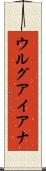ウルグアイアナ Scroll