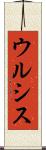 ウルシス Scroll