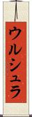 ウルシュラ Scroll