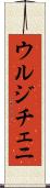 ウルジチェニ Scroll