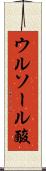ウルソール酸 Scroll