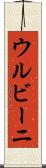 ウルビーニ Scroll
