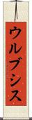 ウルブシス Scroll