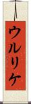 ウルリケ Scroll