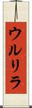 ウルリラ Scroll