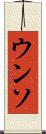 ウンソ Scroll