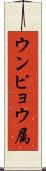 ウンピョウ属 Scroll
