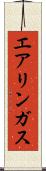 エアリンガス Scroll