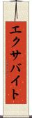 エクサバイト Scroll