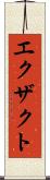 エクザクト Scroll