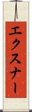 エクスナー Scroll
