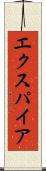 エクスパイア Scroll