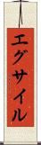 エグサイル Scroll