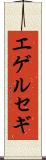 エゲルセギ Scroll