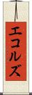 エコルズ Scroll