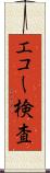 エコー検査 Scroll