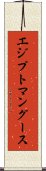 エジプトマングース Scroll