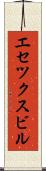 エセツクスビル Scroll
