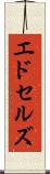 エドセルズ Scroll