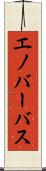 エノバーバス Scroll