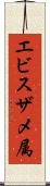 エビスザメ属 Scroll
