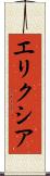 エリクシア Scroll