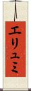 エリュミ Scroll