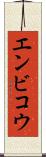 エンビコウ Scroll