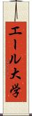 エール大学 Scroll