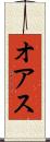 オアス Scroll