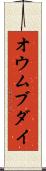 オウムブダイ Scroll