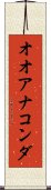 オオアナコンダ Scroll