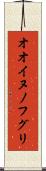 オオイヌノフグリ Scroll