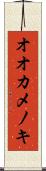 オオカメノキ Scroll