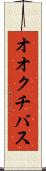 オオクチバス Scroll