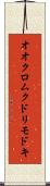 オオクロムクドリモドキ Scroll
