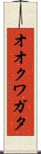 オオクワガタ Scroll