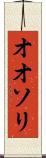 オオソリ Scroll