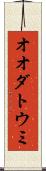 オオダトウミ Scroll
