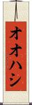 オオハシ Scroll