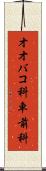 オオバコ科 Scroll